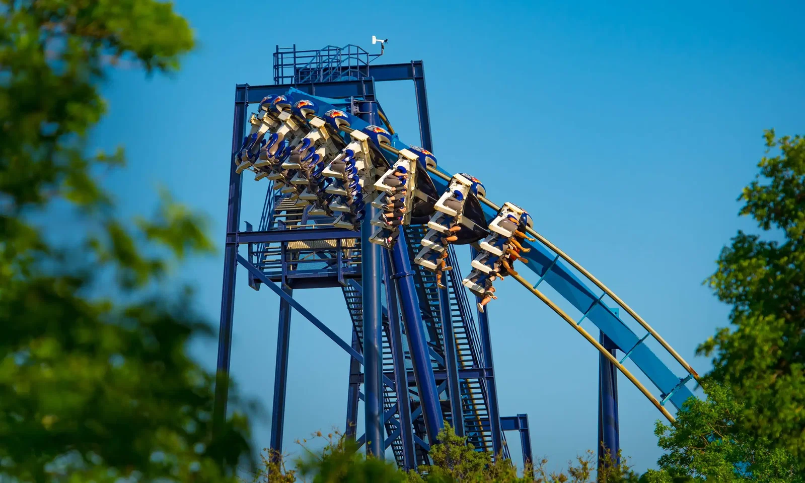 Sea World San Antonio "Skip The Line" Admission Ticket